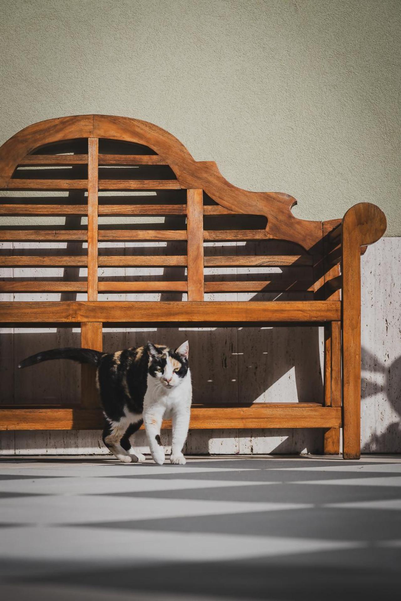 Tenuta Olive Alive Noto Kültér fotó