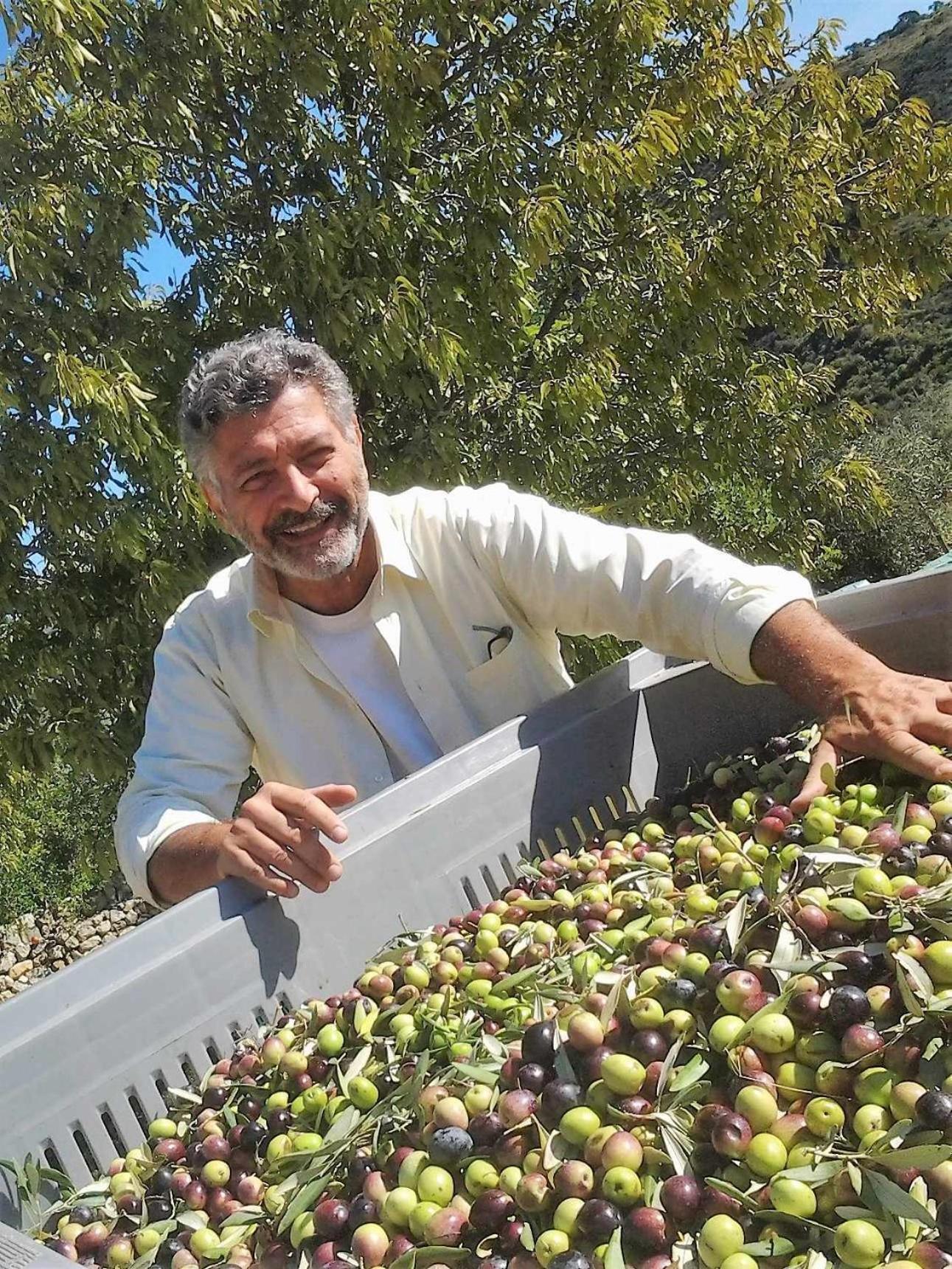 Tenuta Olive Alive Noto Kültér fotó